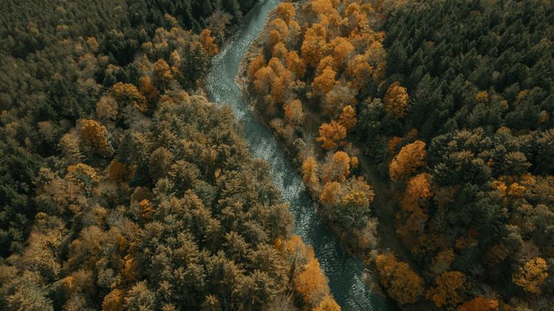 Aerial view of a river winding through autumn forest in the Catskills