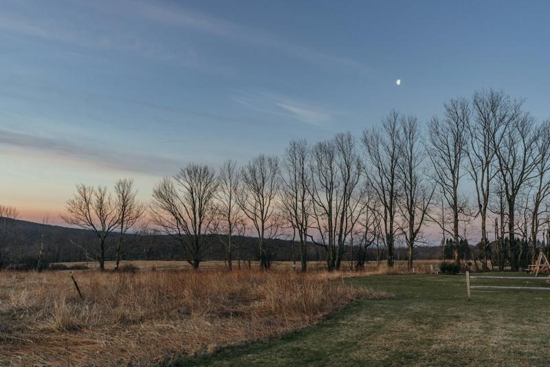 Open field and tree line at dusk in upstate New York